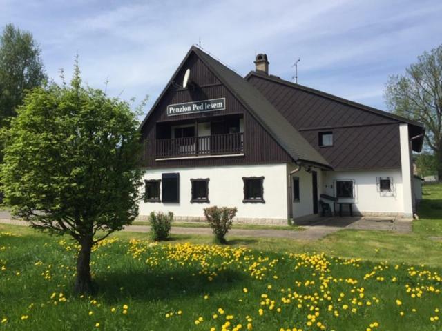 Penzion Pod Lesem Hodkovice Exterior foto
